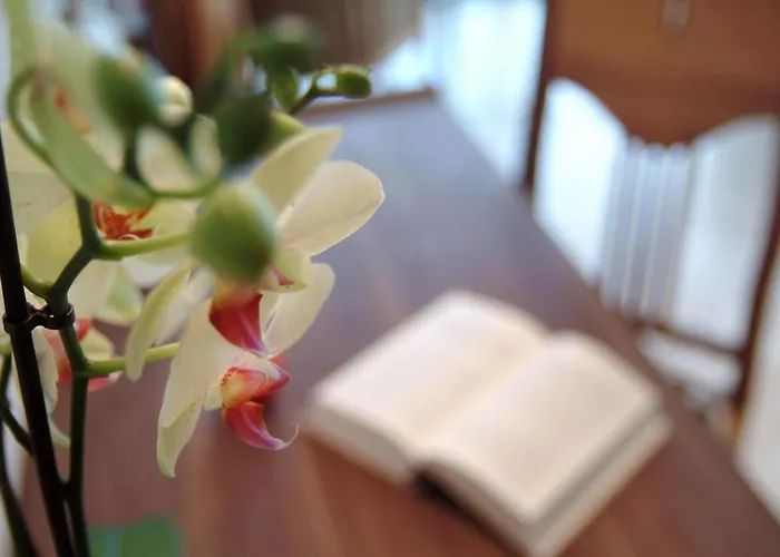 Ξενοδοχείο Waldhotel & - For Body & Soul